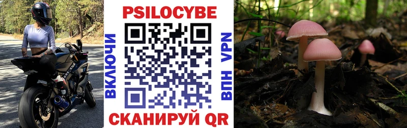 Галлюциногенные грибы Psilocybine cubensis  цена наркотик  Бердск 