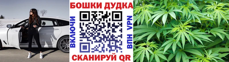 где купить   Бердск  Бошки Шишки план 